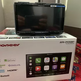pioneer 9250