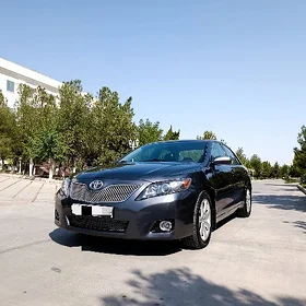 Toyota Camry 2010