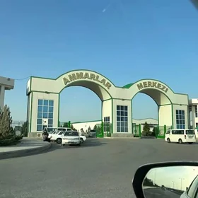 ARENDA AMMAR AMMARLAR MERKEZI