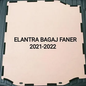 HYUNDAI 2022 FANER