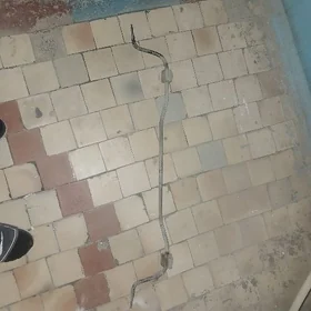 telefonçik murt