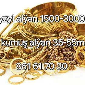 gyzyl kumuş alÿan