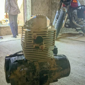 divigatel 150 lilik fekon