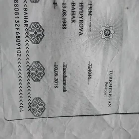 SUMKA ÝITIRDIM.