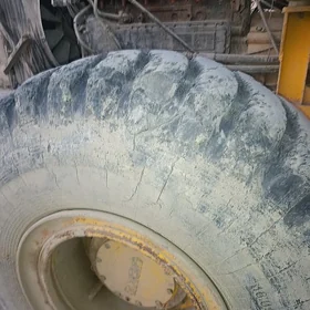 ayak