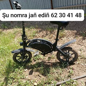Tokly tigir