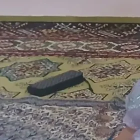 Yitrdim Gara gapjyk