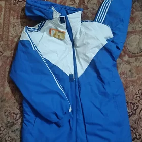 kurtga çare