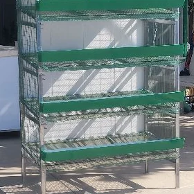 Bedene ketek kletka