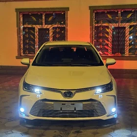 Toyota Corolla 2021