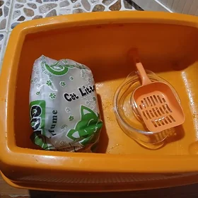 лоток для котят