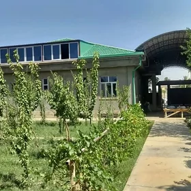satlyk jaÿ