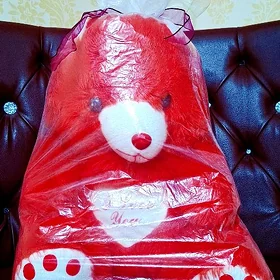 🧸TÀZEJE MIŚKA🧸