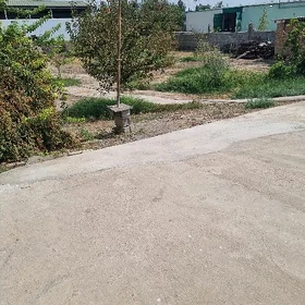 yalkym mellek 8 sotok