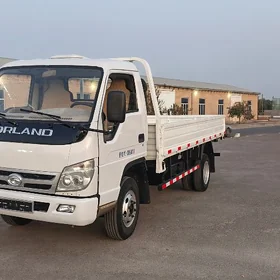 Forland H3 2014