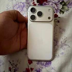 17 pro