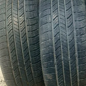 195 65 15 saylun
