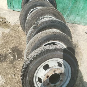 gazel Tekeş ,aýak ,balon.