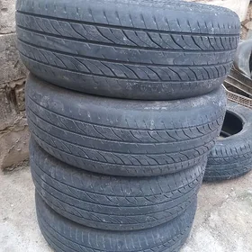 Ayak
