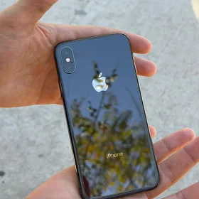 iPhone X