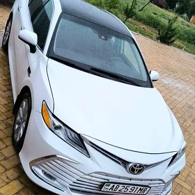 Toyota Camry 2019