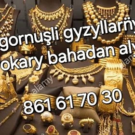 gyzyl alÿan in ÿokary bahadan