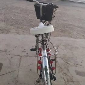 tıgır