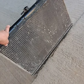radiator maxima