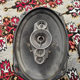 pioneer kolonka 650 original