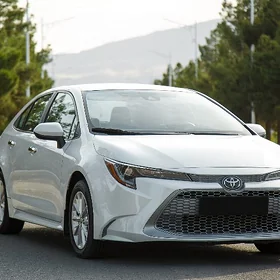Toyota Corolla 2022