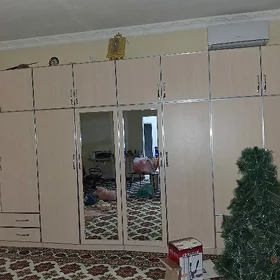 шфанер