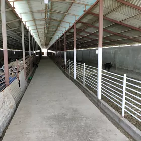 Ferma