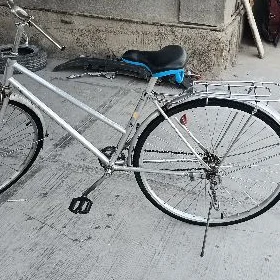 Ýapon Tigir 27