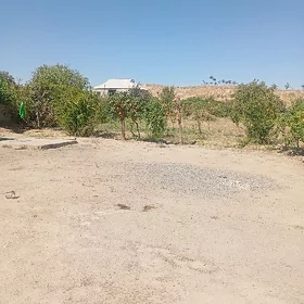 mellek