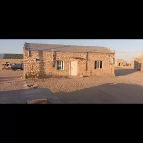 Baleýşem jay