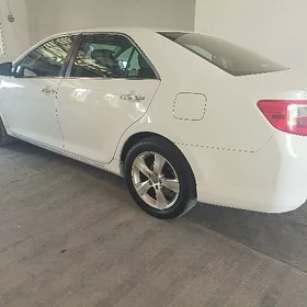 Satlyk palta camry diska