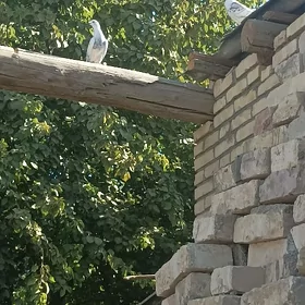 kepderi