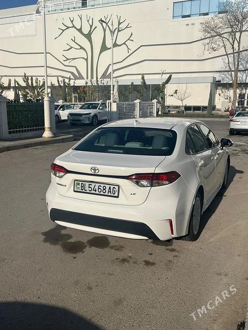 Toyota Corolla 2021 - 1