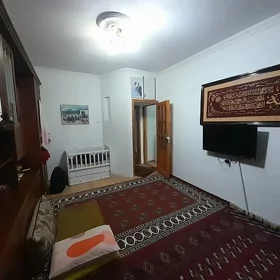 Mir 1