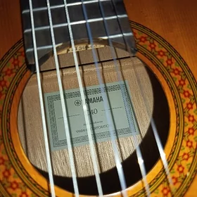 gitara