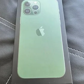 iPhone 13pro