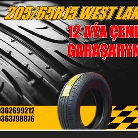 TEKER ❗ GARAŞARNA 205/65R15