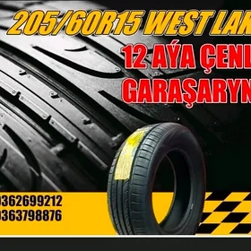 TEKER ❗ GARAŞARNA 205/60R15