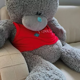 Teddy ayy miska медведь