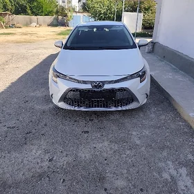 Toyota Corolla 2022