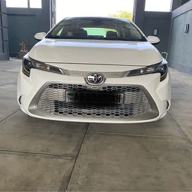 Toyota Corolla 2021