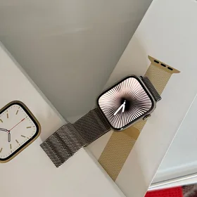 apple watch 7 stainless