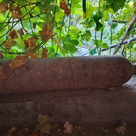 кислородны болон