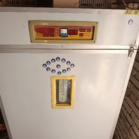 enkwatyr