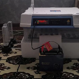 inkebator 130 ýumurtga